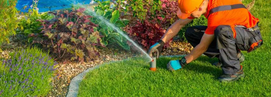 Man Inspecting Sprinkler System