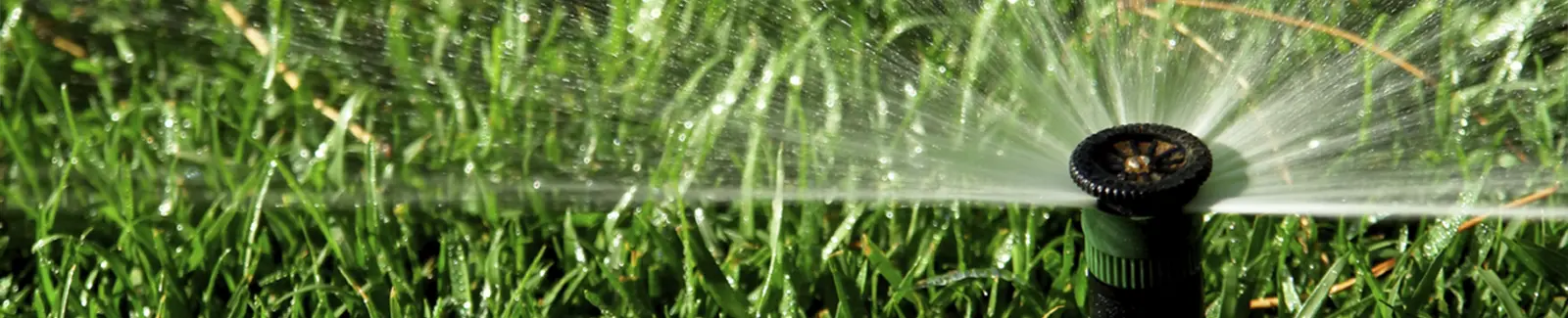 Sprinkler and Irrigation System Repair Sebastian